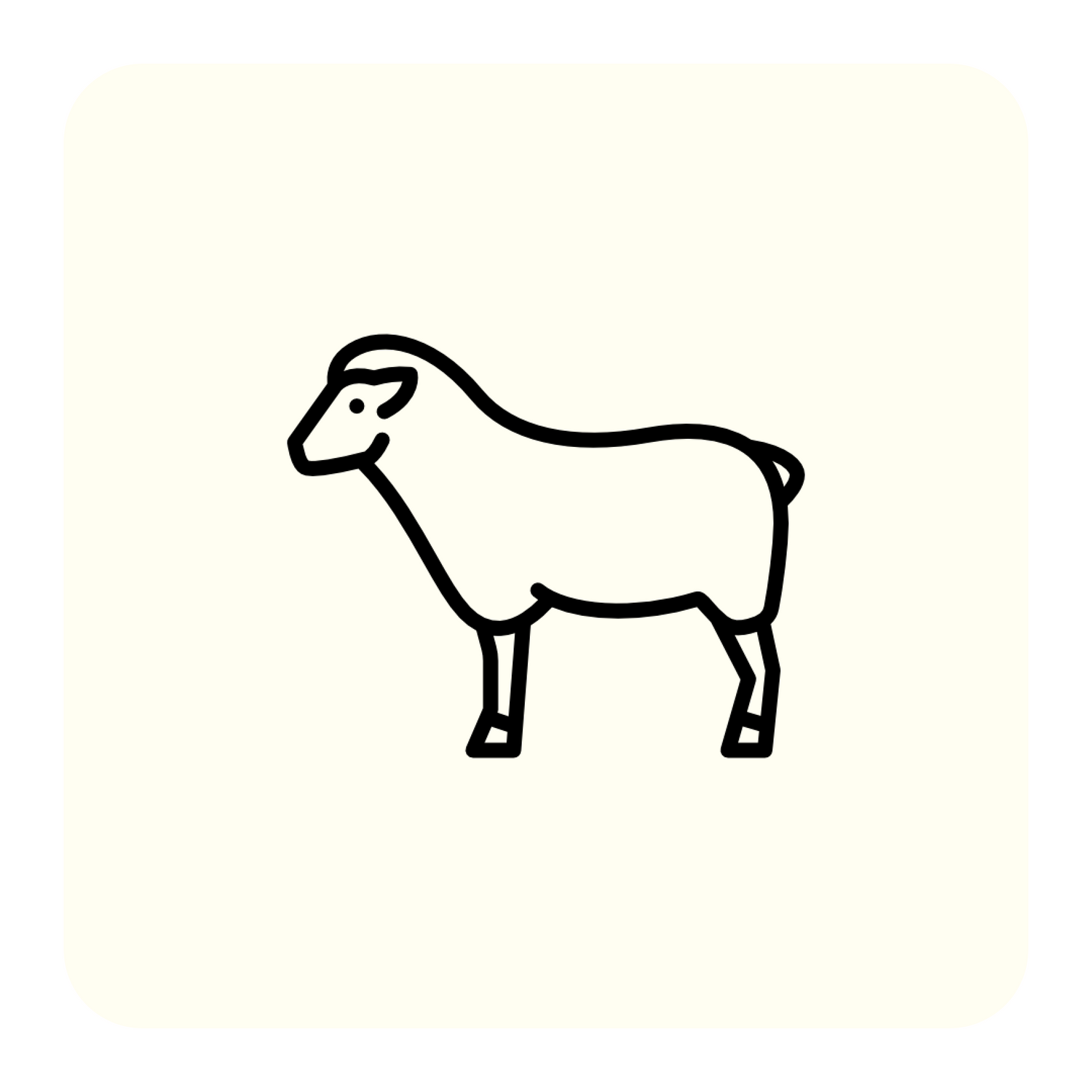 Lamb